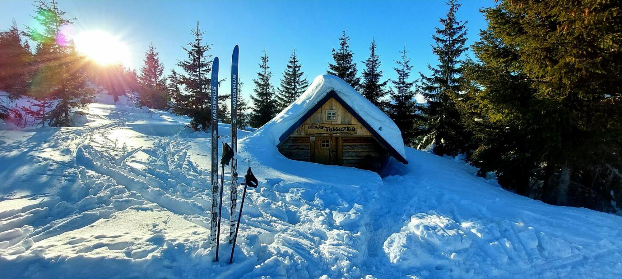 Tiny House Lavender Villa Podturen Exteriör bild